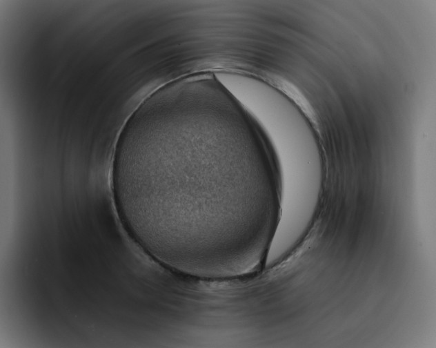 X0000093150946200710101133
