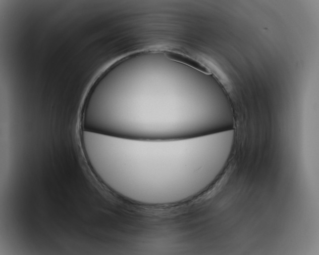 X0000093150948200710101133