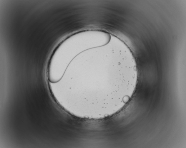 X0000093150950200710101133