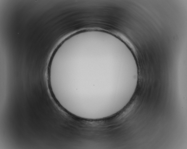 X0000093150951200710101133