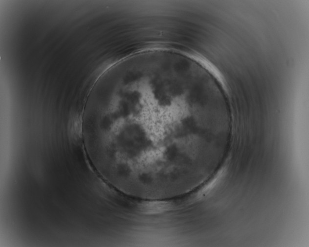 X0000093150953200710101133