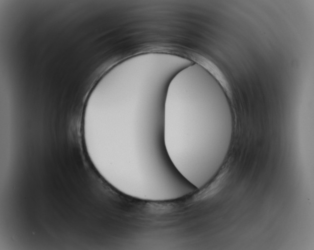 X0000093150954200710101133