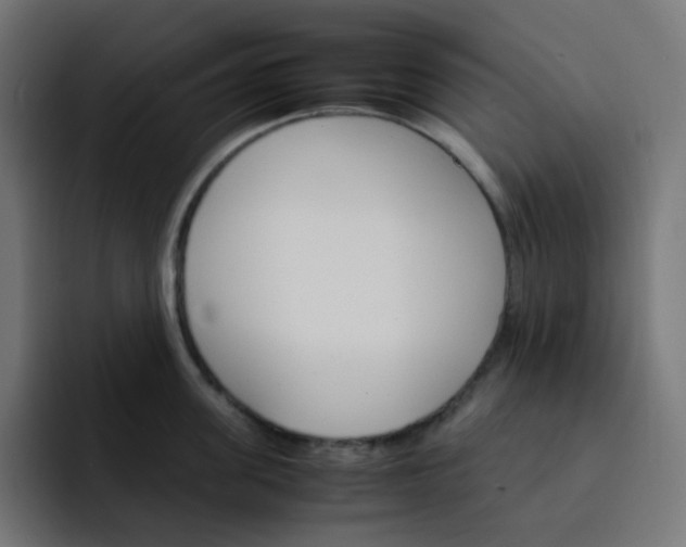 X0000093150955200710101133