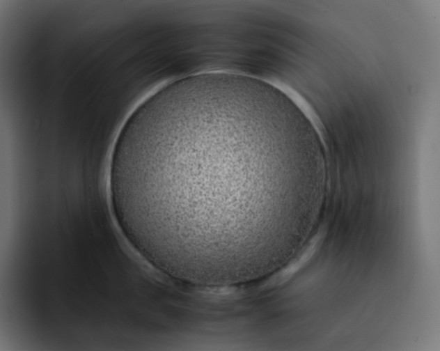 X0000093150957200710101133