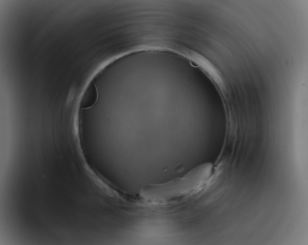 X0000093150958200710101133