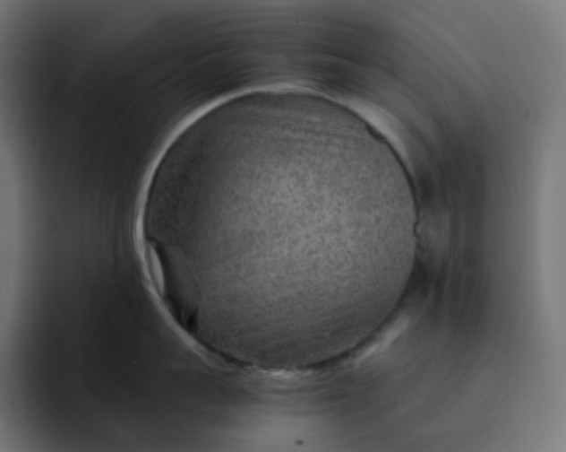 X0000093150959200710101133