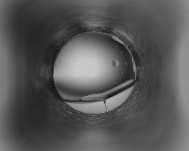 X0000093150965200710101132
