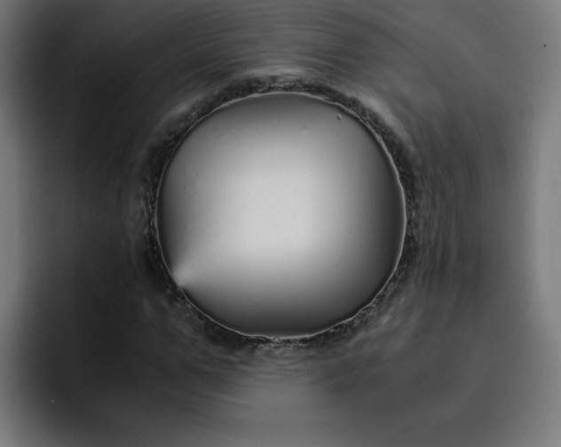 X0000093150967200710101132