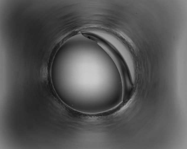 X0000093150969200710101132