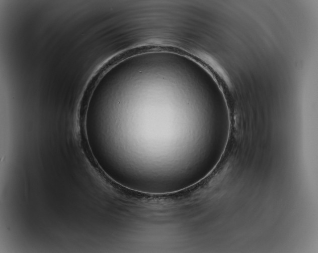 X0000093150972200710101132