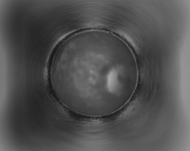 X0000093150975200710101132
