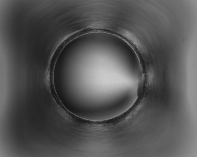 X0000093150976200710101132