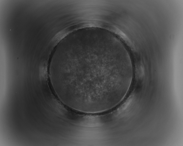 X0000093150977200710101132