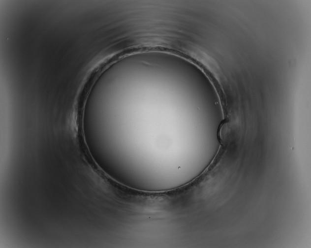 X0000093150979200710101132