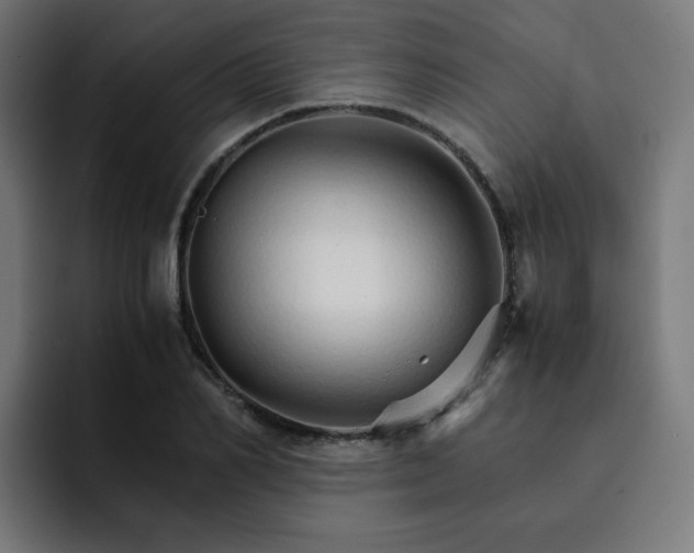 X0000093150982200710101132