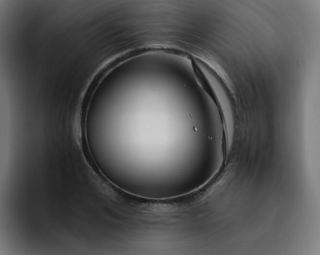 X0000093150984200710101132
