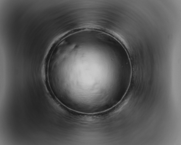 X0000093150987200710101132