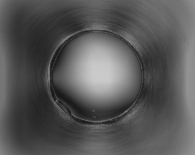 X0000093150988200710101132