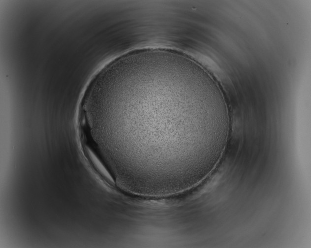 X0000093150990200710101132