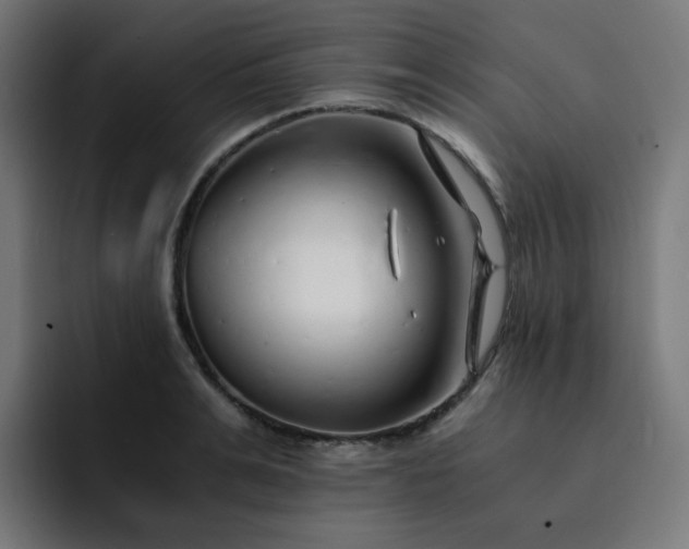 X0000093150991200710101132