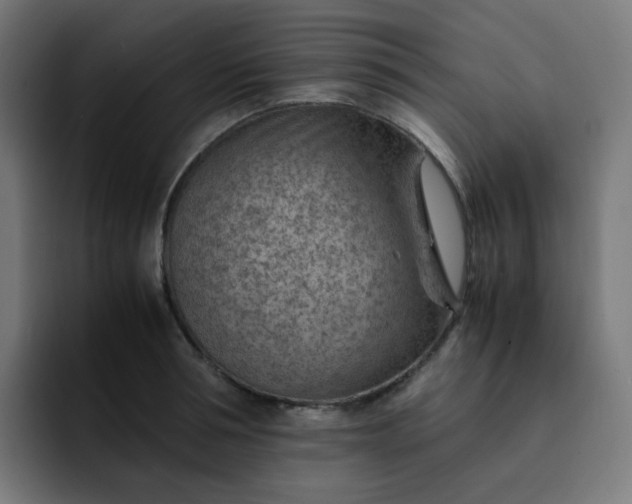 X0000093150994200710101132