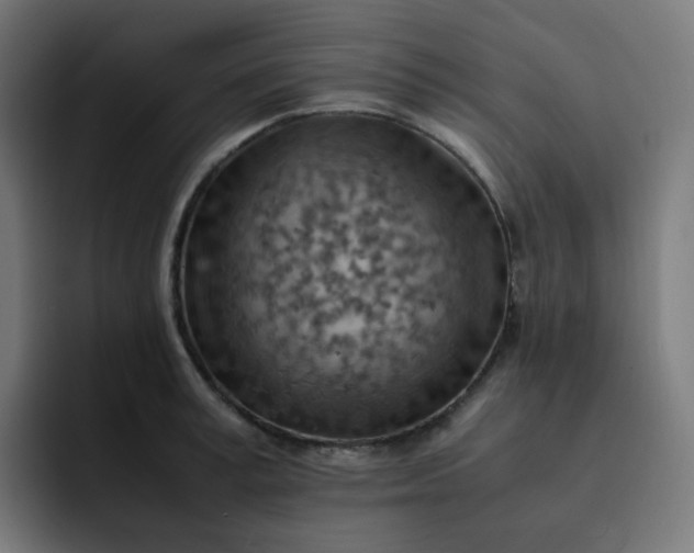 X0000093150995200710101132