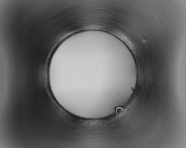 X0000093151000200710101132