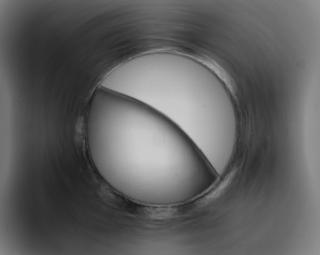 X0000093151001200710101132