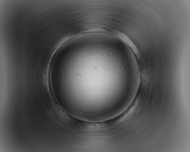 X0000093151002200710101132