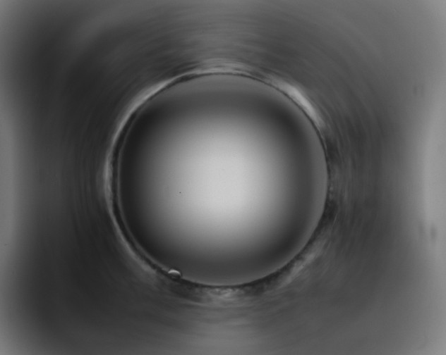X0000093151003200710101132