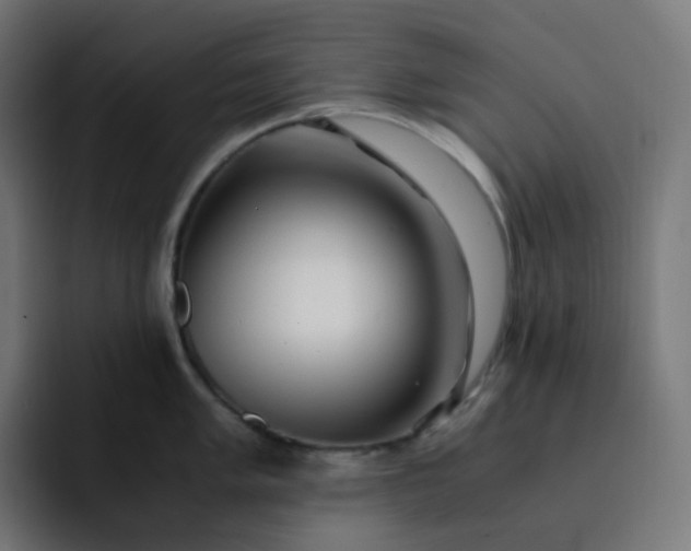X0000093151005200710101132