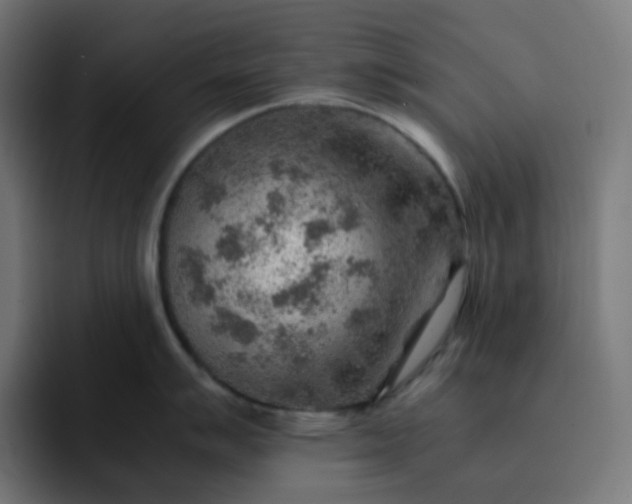 X0000093151007200710101132