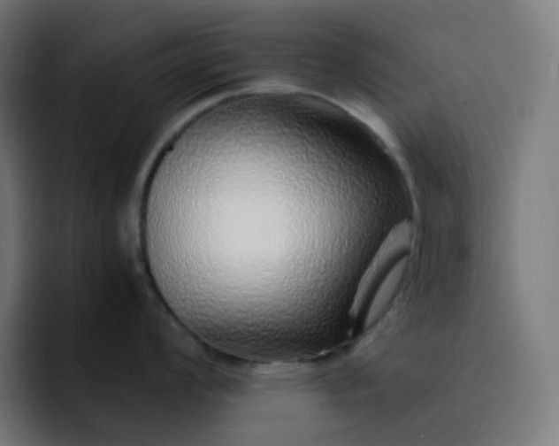 X0000093151008200710101132