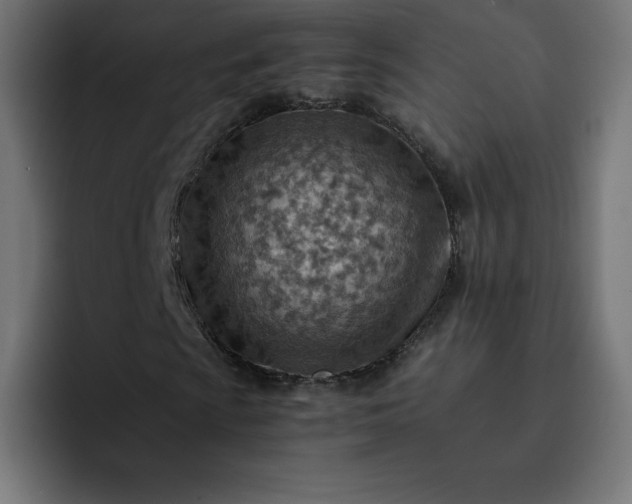 X0000093151009200710101131