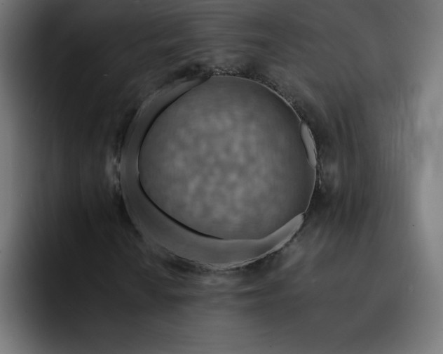 X0000093151010200710101131