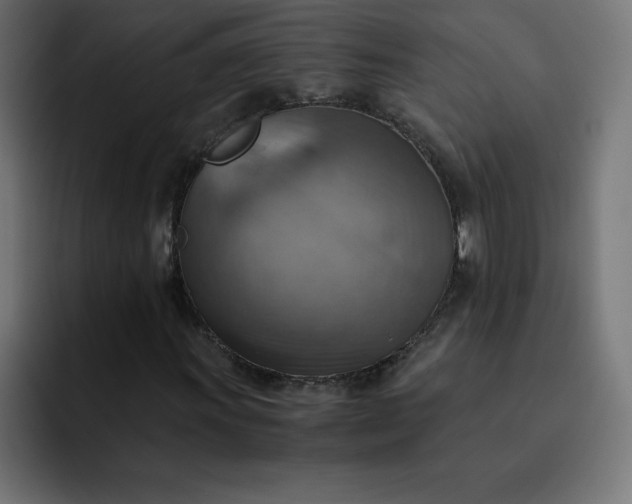 X0000093151011200710101131