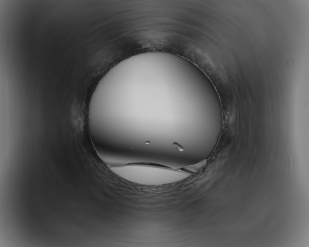 X0000093151012200710101131