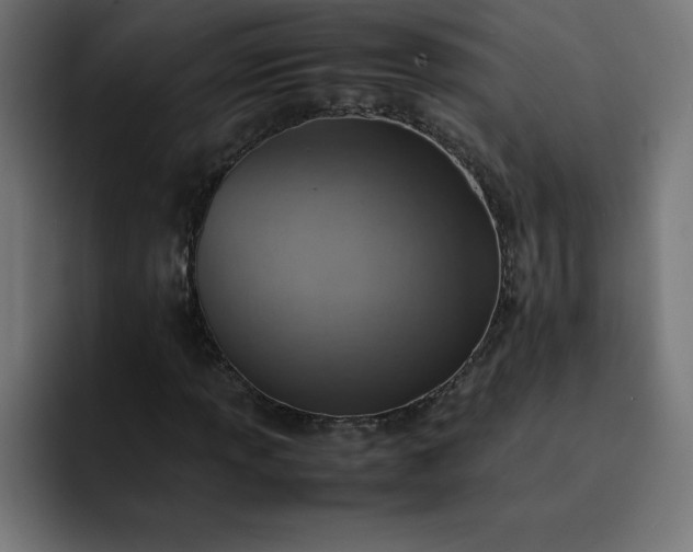 X0000093151013200710101131