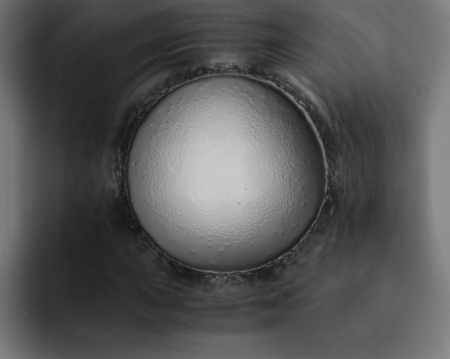 X0000093151015200710101131