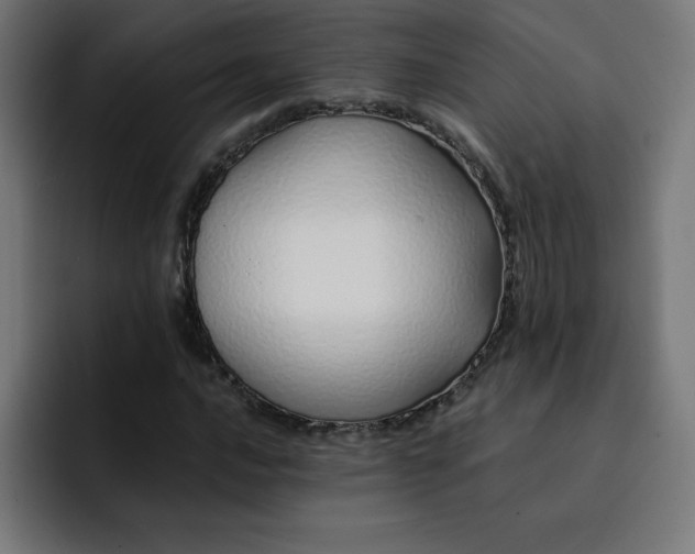 X0000093151016200710101131