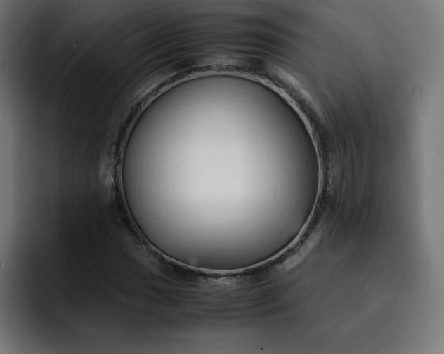 X0000093151017200710101131