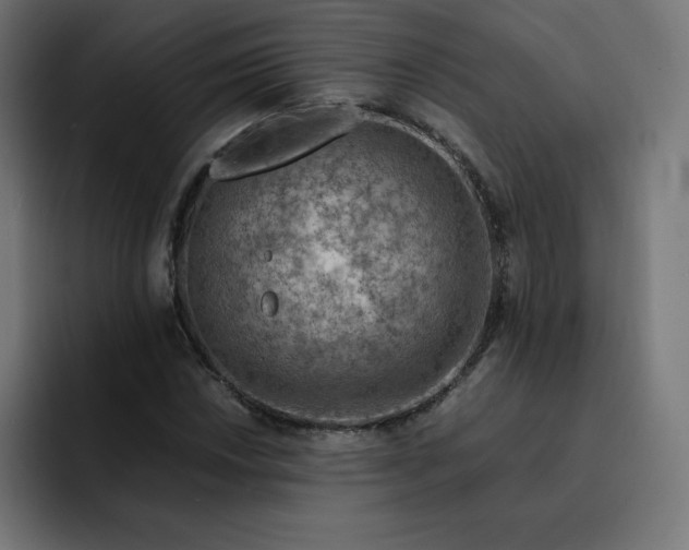 X0000093151018200710101131