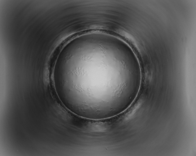 X0000093151019200710101131