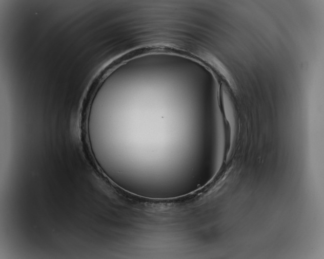 X0000093151020200710101131