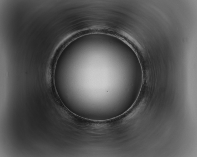 X0000093151021200710101131