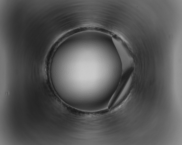 X0000093151022200710101131