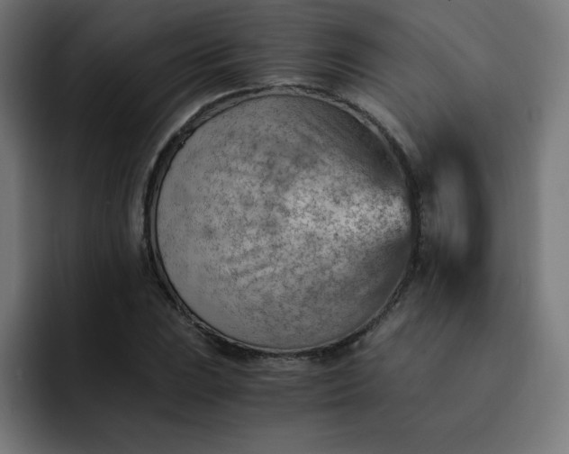 X0000093151023200710101131