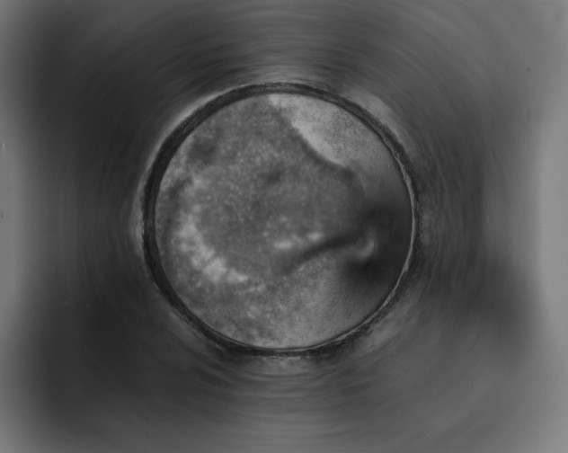 X0000093151024200710101131