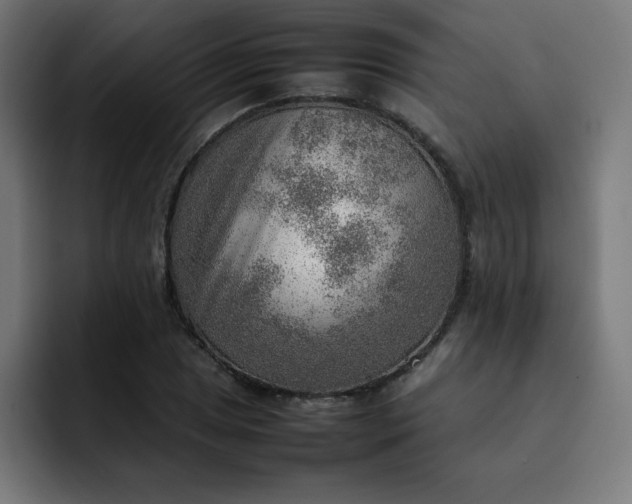 X0000093151025200710101132