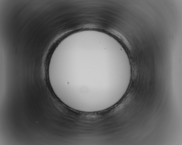 X0000093151027200710101132